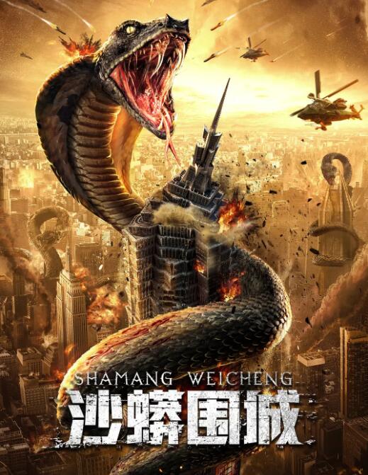《妻子的叛乱》主视觉